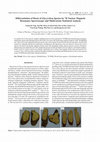 Research paper thumbnail of Differentiation of Roots of Glycyrrhiza Species by1H Nuclear Magnetic Resonance Spectroscopy and Multivariate Statistical Analysis