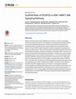 Research paper thumbnail of Scaffold Role of DUSP22 in ASK1-MKK7-JNK Signaling Pathway