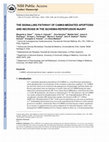 Research paper thumbnail of The signalling pathway of CaMKII-mediated apoptosis and necrosis in the ischemia/reperfusion injury