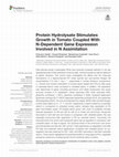 Research paper thumbnail of Protein Hydrolysate Stimulates Growth in Tomato Coupled With N-Dependent Gene Expression Involved in N Assimilation