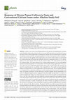 Research paper thumbnail of Response of Diverse Peanut Cultivars to Nano and Conventional Calcium Forms under Alkaline Sandy Soil