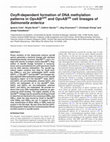 Research paper thumbnail of OxyR-dependent formation of DNA methylation patterns in OpvABOFFand OpvABONcell lineages ofSalmonella enterica