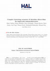 Research paper thumbnail of Complex dewetting scenarios of ultrathin silicon films for large-scale nanoarchitectures