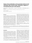 Research paper thumbnail of Action of two herbicides on the microbial activity of soil cultivated with common bean (Phaseolus vulgaris) in conventional-till and no-till systems