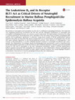 Research paper thumbnail of The Leukotriene B4 and its Receptor BLT1 Act as Critical Drivers of Neutrophil Recruitment in Murine Bullous Pemphigoid-Like Epidermolysis Bullosa Acquisita