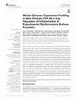 Research paper thumbnail of Whole-Genome Expression Profiling in Skin Reveals SYK As a Key Regulator of Inflammation in Experimental Epidermolysis Bullosa Acquisita