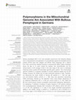 Research paper thumbnail of Polymorphisms in the Mitochondrial Genome Are Associated With Bullous Pemphigoid in Germans