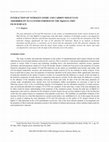 Research paper thumbnail of Interaction of Nitrogen Oxide and Carbon Molecules Adsorbed on Ni Clusters Formed on the MgO(111) Thin Film Surface