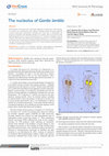 Research paper thumbnail of The Nucleolus of Giardia lamblia