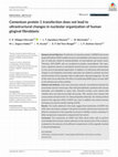 Research paper thumbnail of Cementum protein 1 transfection does not lead to ultrastructural changes in nucleolar organization of human gingival fibroblasts