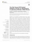 Research paper thumbnail of The Path Toward PET-Guided Radiation Therapy for Glioblastoma in Laboratory Animals: A Mini Review