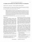 Research paper thumbnail of An Update on the Synthesis and Antibacterial Effects of Carbapenems