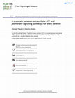 Research paper thumbnail of A crosstalk between extracellular ATP and jasmonate signaling pathways for plant defense