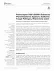 Research paper thumbnail of Purinoceptor P2K1/DORN1 Enhances Plant Resistance Against a Soilborne Fungal Pathogen, Rhizoctonia solani