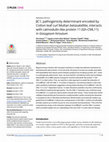 Research paper thumbnail of βC1, pathogenicity determinant encoded by Cotton leaf curl Multan betasatellite, interacts with calmodulin-like protein 11 (Gh-CML11) in Gossypium hirsutum