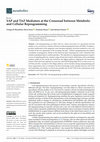 Research paper thumbnail of YAP and TAZ Mediators at the Crossroad between Metabolic and Cellular Reprogramming