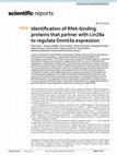 Research paper thumbnail of Identification of RNA-binding proteins that partner with Lin28a to regulate Dnmt3a expression