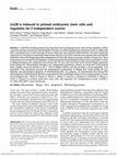 Research paper thumbnail of Lin28 is induced in primed embryonic stem cells and regulates let-7-independent events