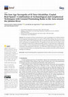 Research paper thumbnail of The Iron Age Necropolis of El Toro (Alcubillas, Ciudad Real-Spain)—Combination of Archaeological and Geophysical Techniques with Ground Penetrating Radar in the Area around the Jabalón River