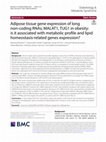 Research paper thumbnail of Adipose tissue gene expression of long non-coding RNAs; MALAT1, TUG1 in obesity: is it associated with metabolic profile and lipid homeostasis-related genes expression?