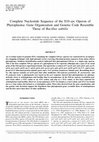 Research paper thumbnail of Complete Nucleotide Sequence of the S10-spc Operon of Phytoplasma: Gene Organization and Genetic Code Resemble Those of Bacillus subtilis