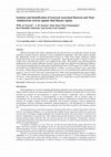 Research paper thumbnail of Isolation and Identification of Seaweed-Associated Bacteria and Their Antibacterial Activity against Skin Disease Agents