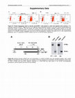 Research paper thumbnail of C-Terminal-PEDF Reduces IC50 Doses and Chemoresistant Population of CD133 and BCRP1-Positve Cancer Stem Like Cells