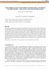 Research paper thumbnail of Caracterização do vento urbano com recurso a um modelo CFD open-source : aplicação a uma cidade portuguesa