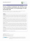 Research paper thumbnail of Human umbilical endothelial cells (HUVECs) have a sex: characterisation of the phenotype of male and female cells