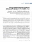 Research paper thumbnail of Primary Cilium Formation and Ciliary Protein Trafficking Is Regulated by the Atypical MAP Kinase MAPK15 in Caenorhabditis elegans and Human Cells