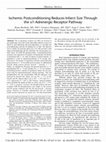 Research paper thumbnail of Ischemic Postconditioning Reduces Infarct Size by Activation of A1 Receptors and K+ ATP Channels in Both Normal and Hypercholesterolemic Rabbits