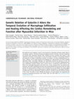 Research paper thumbnail of Genetic Deletion of Galectin-3 Alters the Temporal Evolution of Macrophage Infiltration and Healing Affecting the Cardiac Remodeling and Function after Myocardial Infarction in Mice