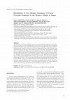 Research paper thumbnail of Distribution of Two Distinct Genotypes of Citrus Greening Organism in the Ryukyu Islands of Japan