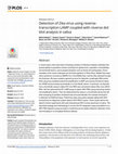 Research paper thumbnail of Detection of Zika virus using reverse-transcription LAMP coupled with reverse dot blot analysis in saliva