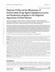 Research paper thumbnail of Molecular Profile and the Effectiveness of Antimicrobials Drugs Against Staphylococcus aureus and Pseudomonas aeruginosa in the Diagnostic Approaches of Otitis Infection