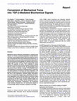 Research paper thumbnail of Conversion of Mechanical Force into TGF-β-Mediated Biochemical Signals