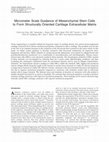 Research paper thumbnail of Micrometer Scale Guidance of Mesenchymal Stem Cells to Form Structurally Oriented Cartilage Extracellular Matrix