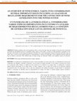 Research paper thumbnail of Un Panorama De La Energía Eólica, Considerando Varios Tópicos Importantes Incluyendo Un Análisis De Requerimientos Regulatorios Para La Conexión De Generación Eólica en El Sistema De Potencia