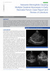 Research paper thumbnail of Neisseria Meningitidis Causing Multiple Cerebral Abscesses in Early Neonatal Period: Case Report and Review of Literature