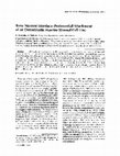 Research paper thumbnail of Bone marrow interface: Preferential attachment of an osteoblastic marrow stromal cell line