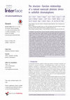 Research paper thumbnail of The structure–function relationships of a natural nanoscale photonic device in cuttlefish chromatophores