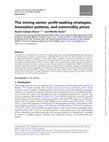 Research paper thumbnail of The mining sector: profit-seeking strategies, innovation patterns, and commodity prices