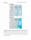 Research paper thumbnail of DS_10.1177_0363546518782973 – Supplemental material for In Vitro Repair of Meniscal Radial Tear With Hydrogels Seeded With Adipose Stem Cells and TGF-β3