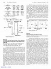 Research paper thumbnail of MP79-15 Risk Factors for Nocturnal Polyuria