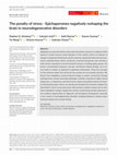 Research paper thumbnail of The penalty of stress ‐ Epichaperomes negatively reshaping the brain in neurodegenerative disorders