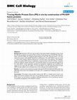 Research paper thumbnail of Tracing Myelin Protein Zero (P0) in vivo by construction of P0GFP fusion proteins