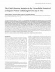 Research paper thumbnail of The C264Y Missense Mutation in the Extracellular Domain of L1 Impairs Protein TraffickingIn VitroandIn Vivo