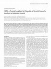 Research paper thumbnail of CRP1, a Protein Localized in Filopodia of Growth Cones, Is Involved in Dendritic Growth