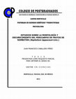 Research paper thumbnail of Estudios sobre la morfología y oscurecimiento del pericarpio de frutos de rambután (Nephelium lappaceum Linn.)