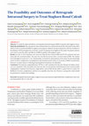 Research paper thumbnail of The Feasibility and Outcomes of Retrograde Intrarenal Surgery to Treat Staghorn Renal Calculi